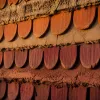 Formation design avec formezvousrapidement : développer vos compétences en création visuelle professionnelle